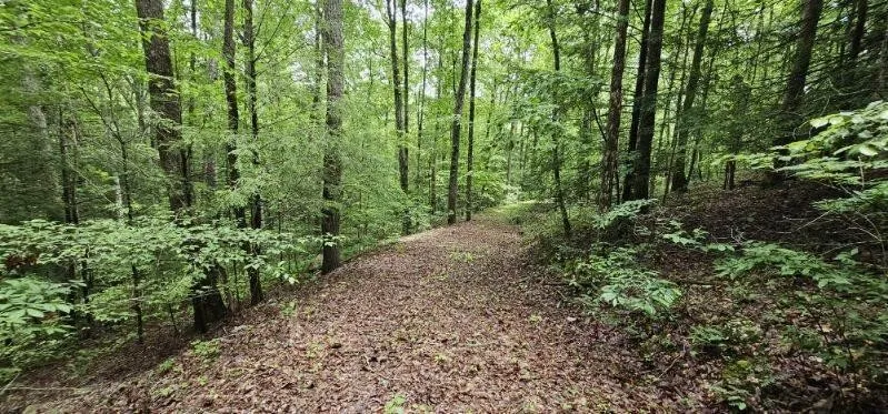 0 Oak Leaf Lane Dunlap, TN 37327