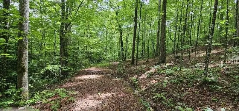 0 Oak Leaf Lane Dunlap, TN 37327
