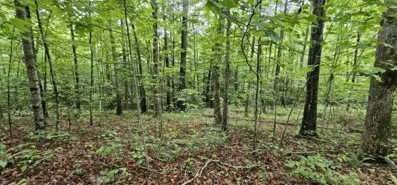 0 Oak Leaf Lane Dunlap, TN 37327