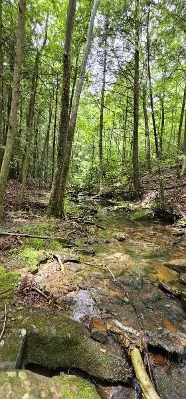 0 Oak Leaf Lane Dunlap, TN 37327