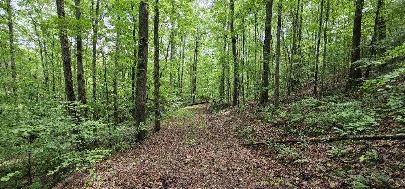 0 Oak Leaf Lane Dunlap, TN 37327