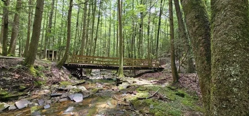 0 Oak Leaf Lane Dunlap, TN 37327
