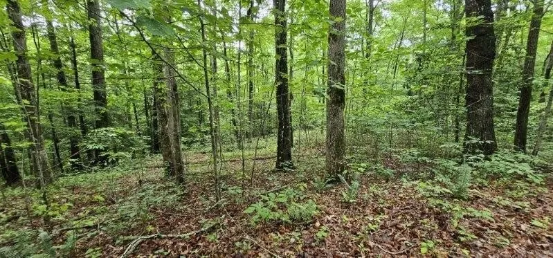 0 Oak Leaf Lane Dunlap, TN 37327