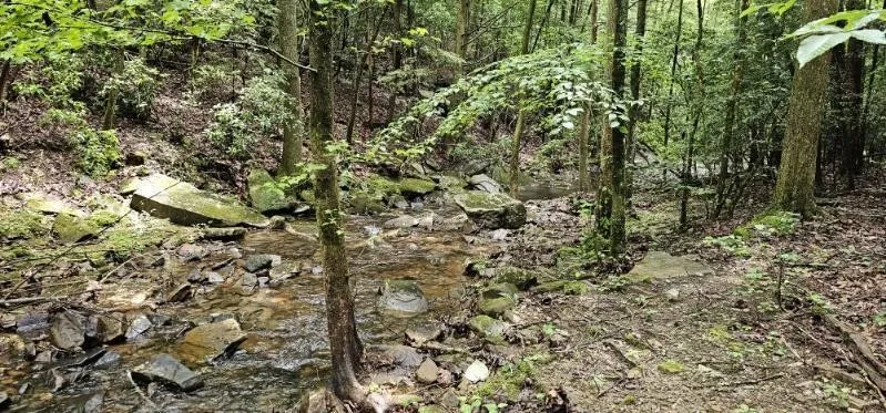 0 Oak Leaf Lane Dunlap, TN 37327
