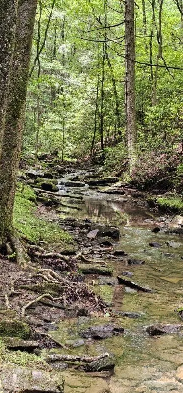 0 Oak Leaf Lane Dunlap, TN 37327