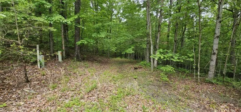 0 Oak Leaf Lane Dunlap, TN 37327