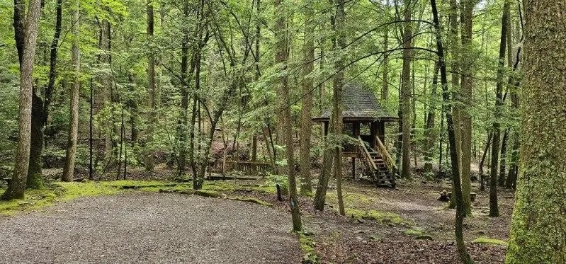 0 Oak Leaf Lane Dunlap, TN 37327