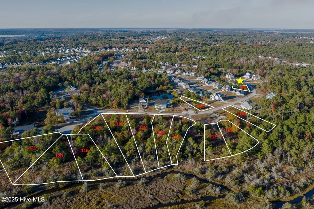 308 Landon Lane Sneads Ferry, NC 28460