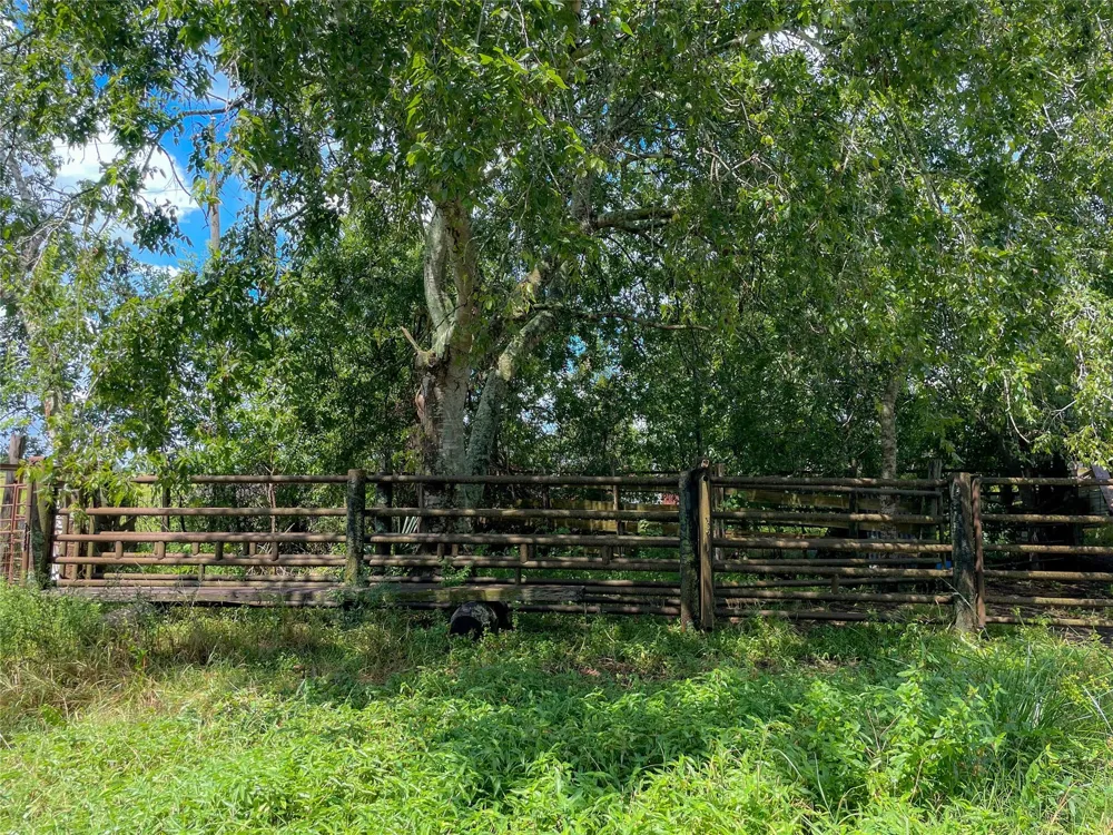Fm 1593 Ganado, TX 77962
