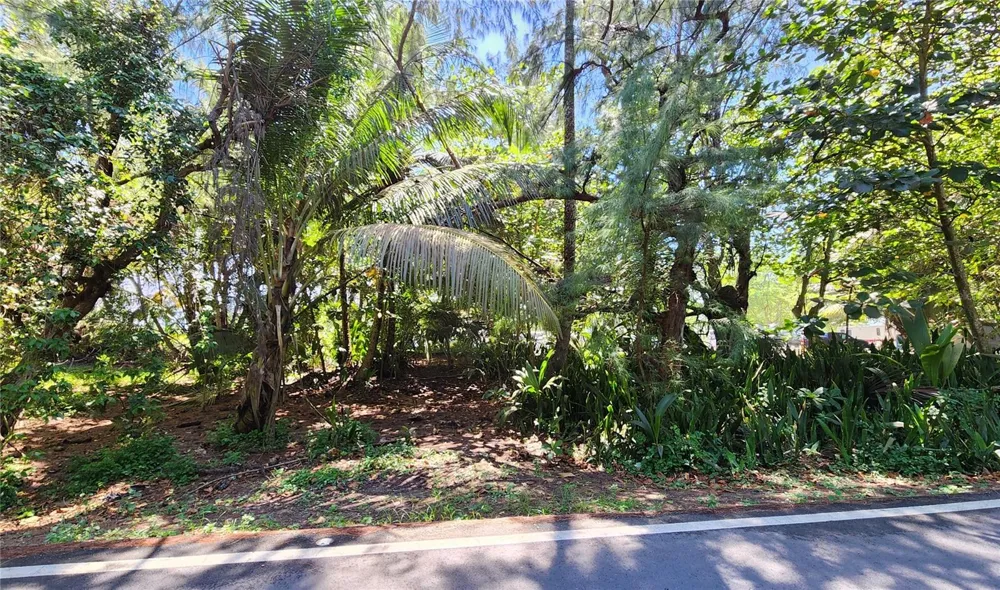 Puerto Nuevo ward PR 686 #Lot. 9 Vega Baja, PR 00693