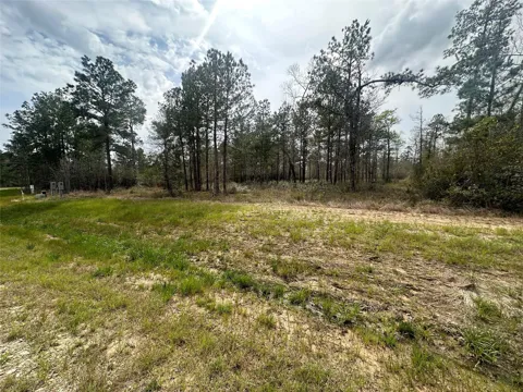 219 Iron Horse Road