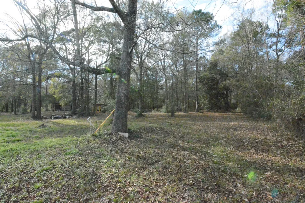 1120 Cherry Creek Drive Shepherd, TX 77371