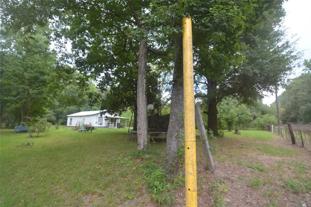 1120 Cherry Creek Drive Shepherd, TX 77371