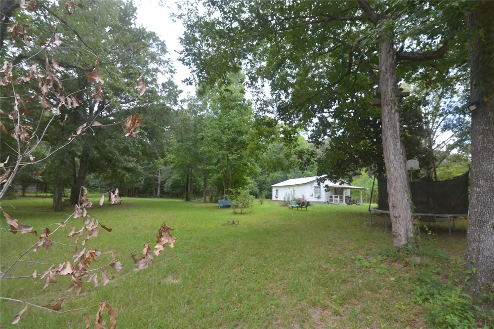 1120 Cherry Creek Drive Shepherd, TX 77371