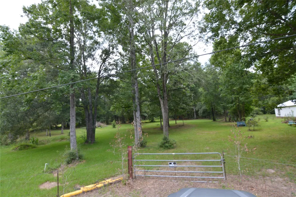 1120 Cherry Creek Drive Shepherd, TX 77371
