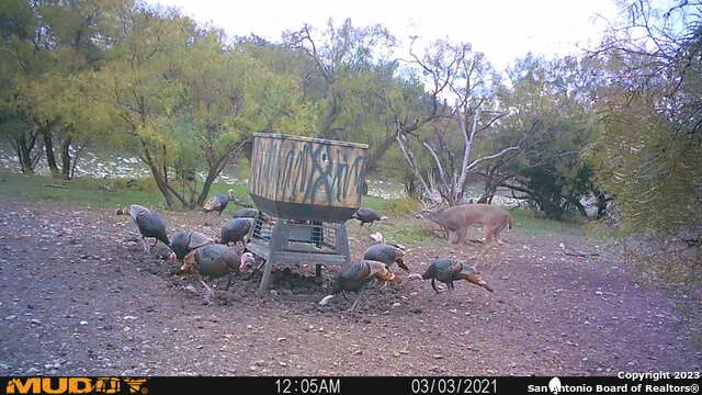 587 Valley Rd Eldorado, TX 76936