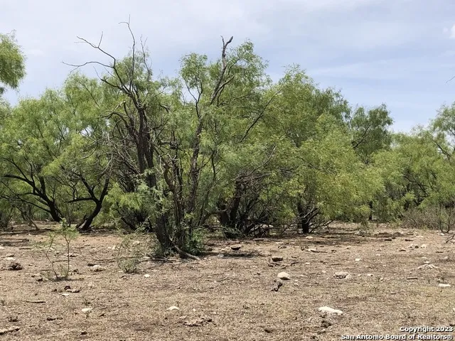 587 Valley Rd Eldorado, TX 76936