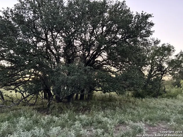 587 Valley Rd Eldorado, TX 76936