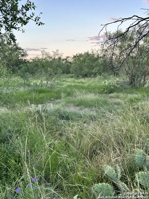 587 Valley Rd Eldorado, TX 76936