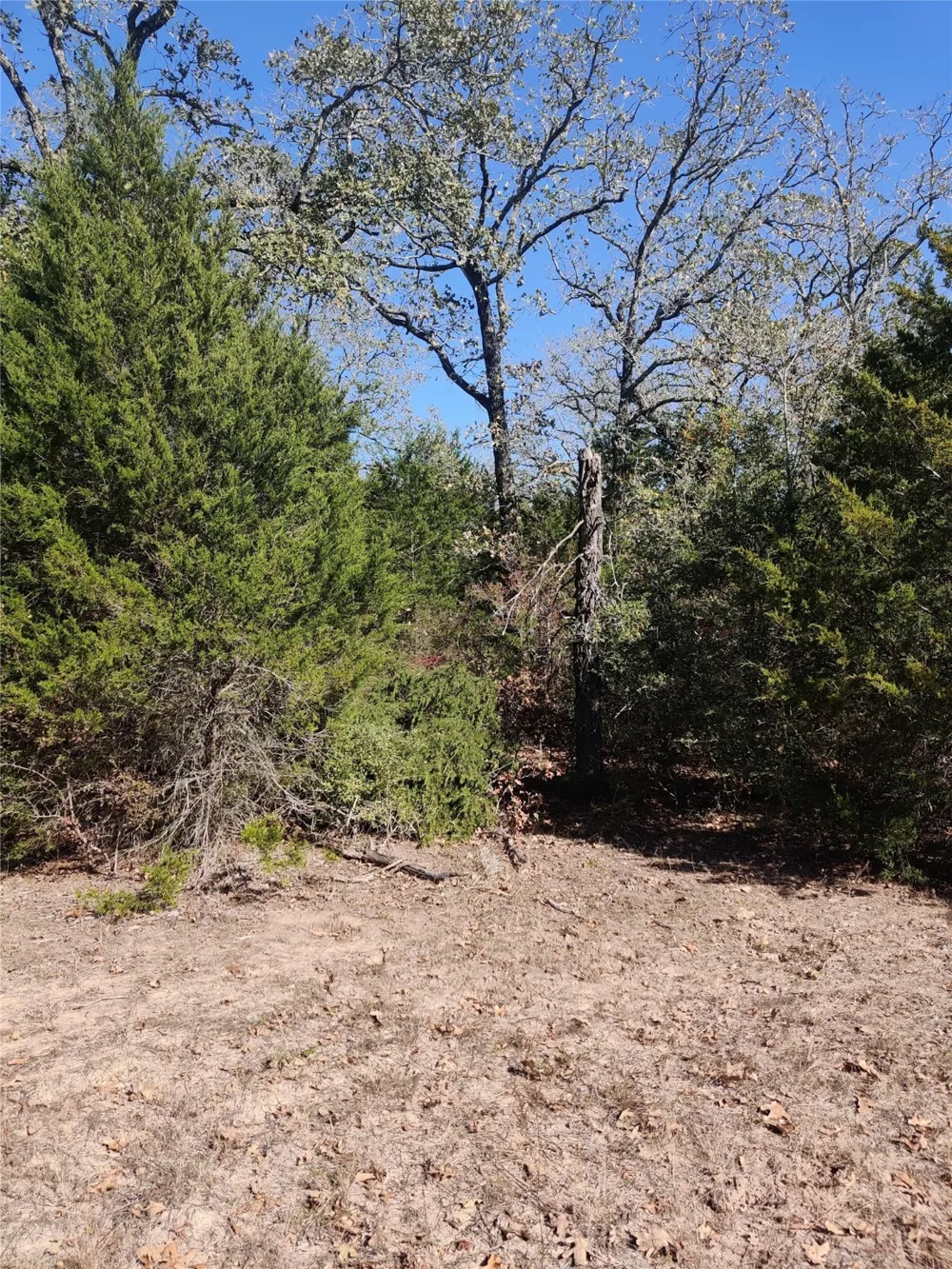 555 Private Road 3428 Milano, TX 76558