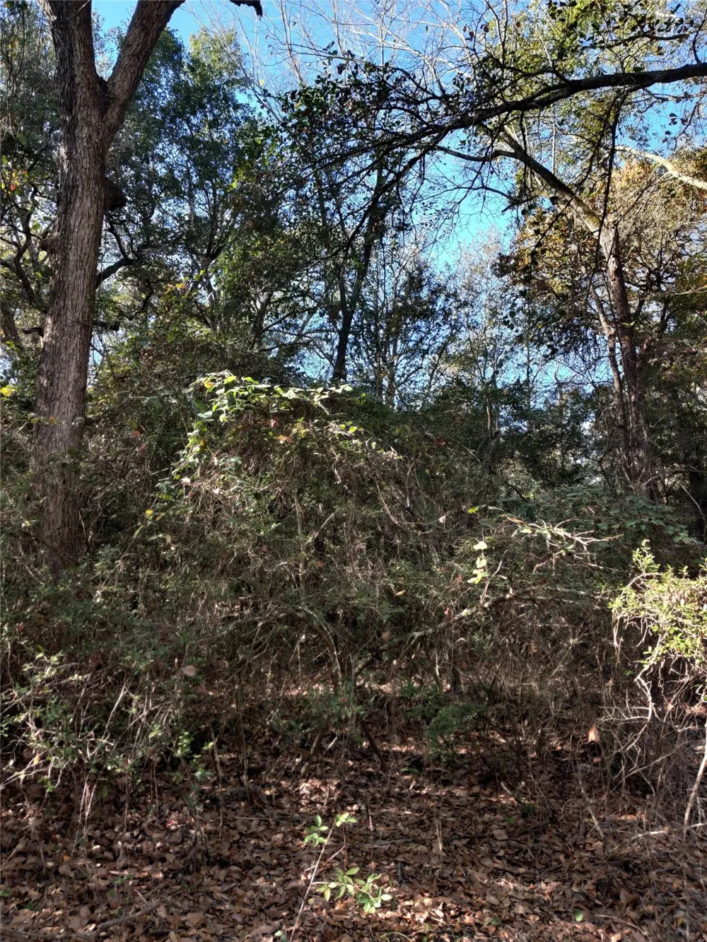 555 Private Road 3428 Milano, TX 76558
