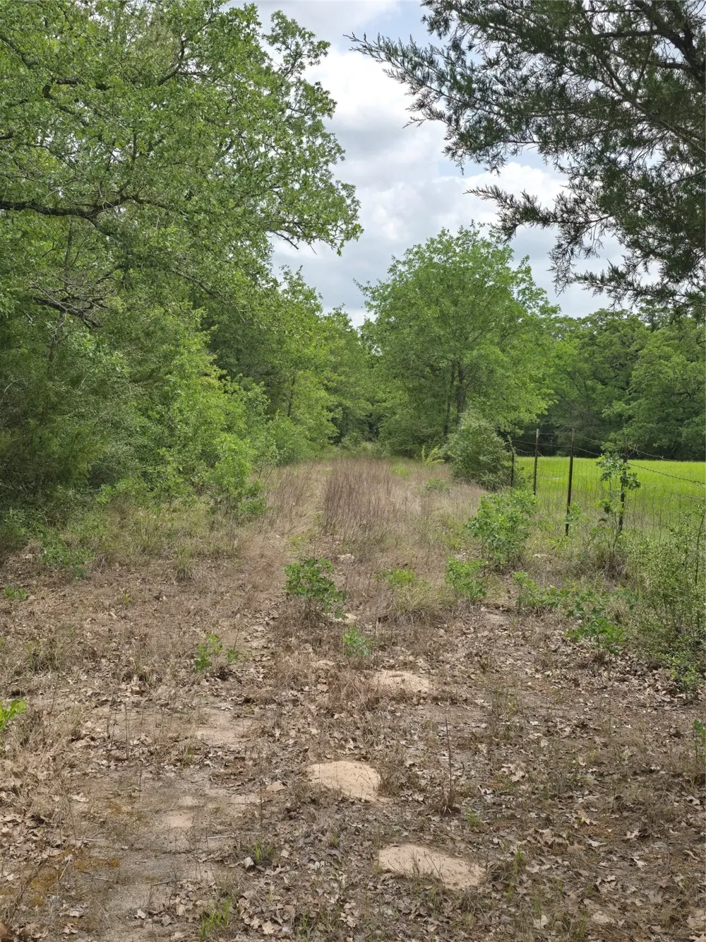 555 Private Road 3428 Milano, TX 76558