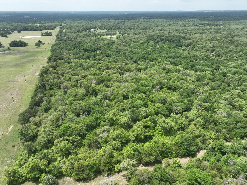 555 Private Road 3428 Milano, TX 76558