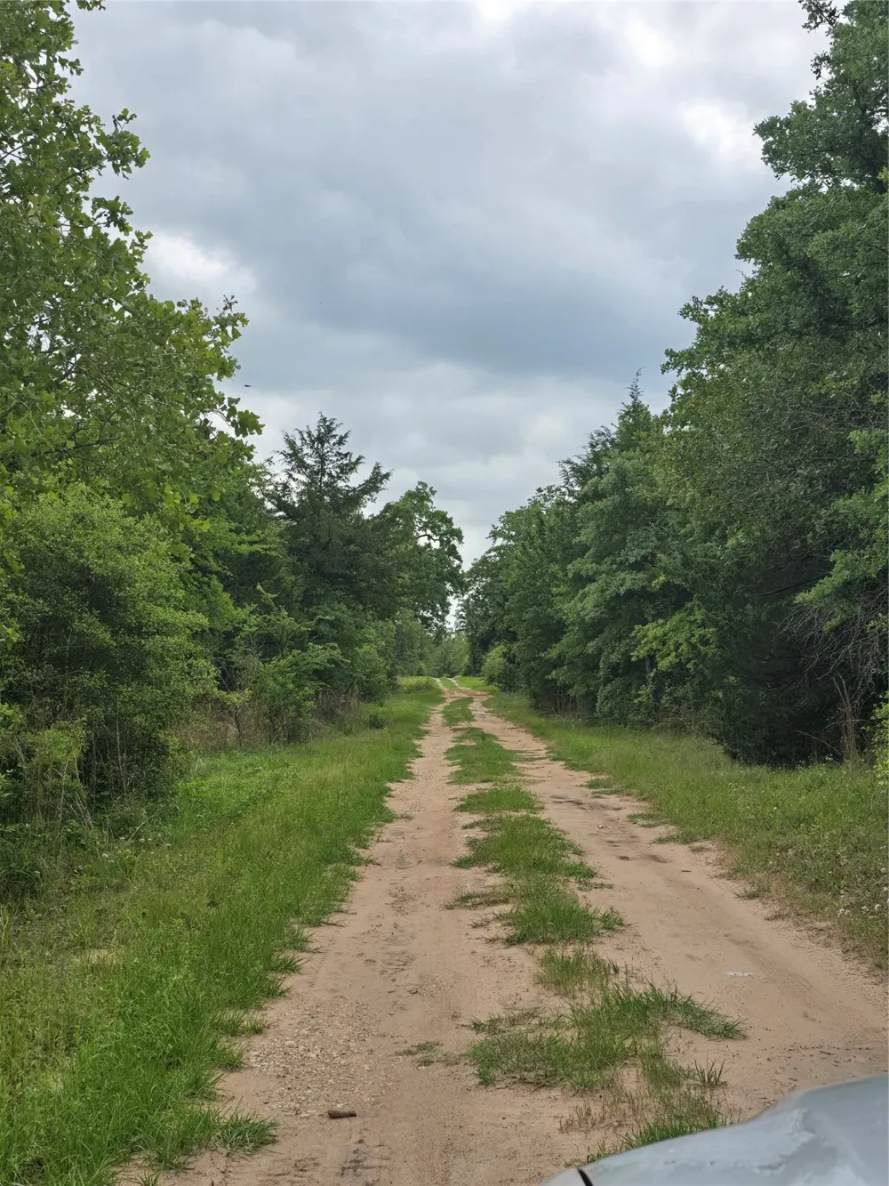 555 Private Road 3428 Milano, TX 76558