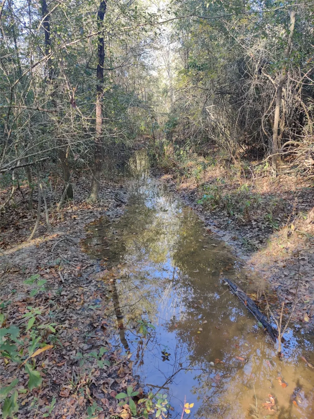555 Private Road 3428 Milano, TX 76558