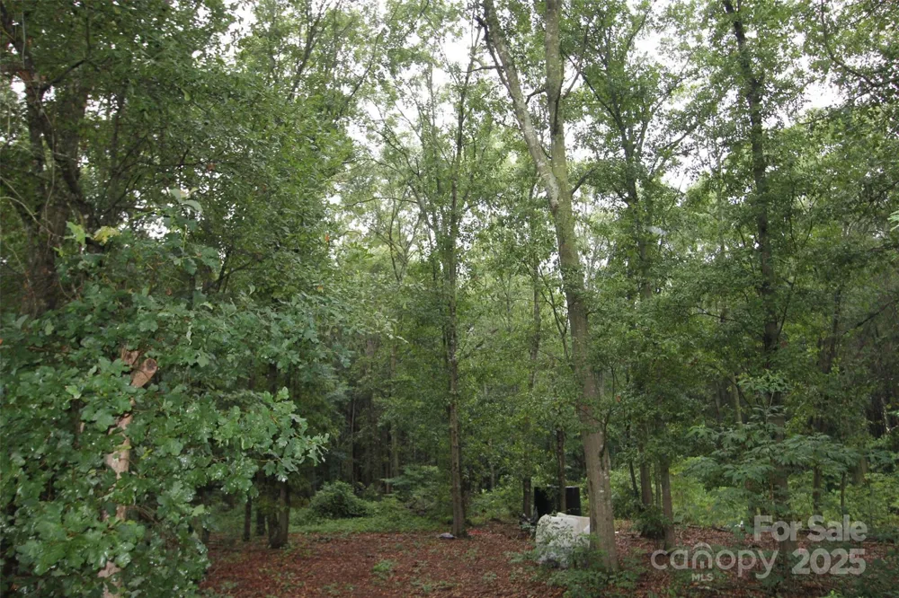 TBD Rainbow Road Wadesboro, NC 28170