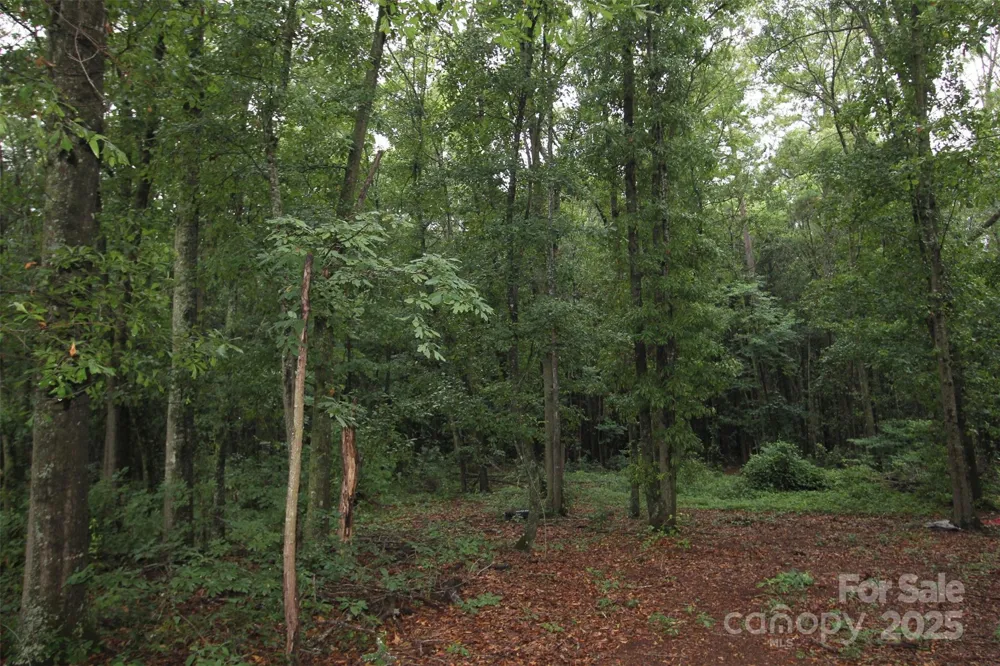 TBD Rainbow Road Wadesboro, NC 28170