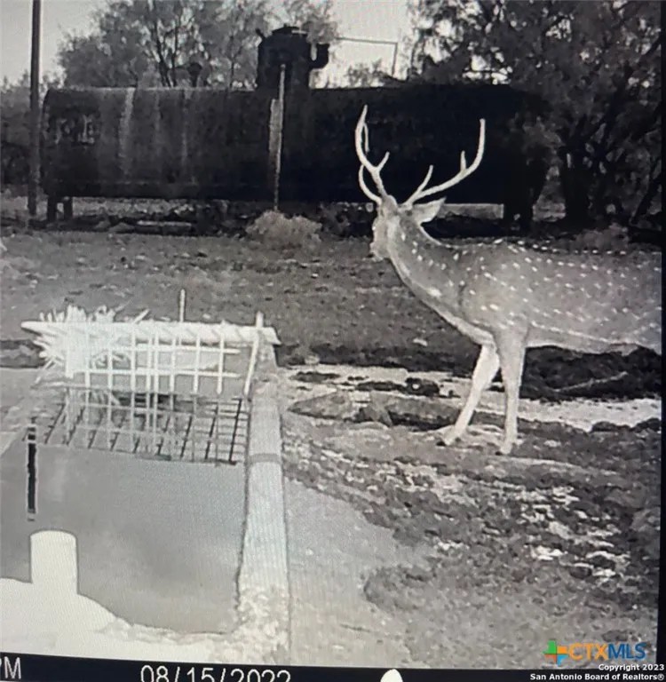 587 Valley Rd. Eldorado, TX 76936