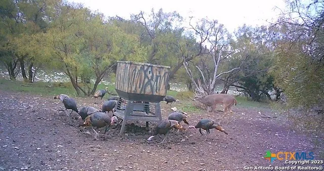 587 Valley Rd. Eldorado, TX 76936
