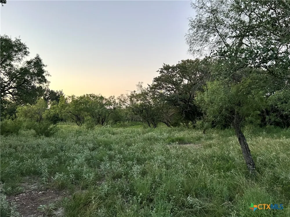587 Valley Rd. Eldorado, TX 76936