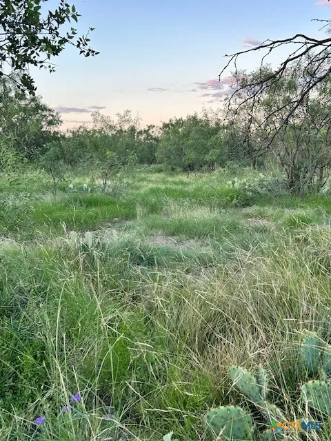 587 Valley Rd. Eldorado, TX 76936