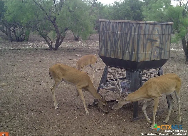 587 Valley Rd. Eldorado, TX 76936