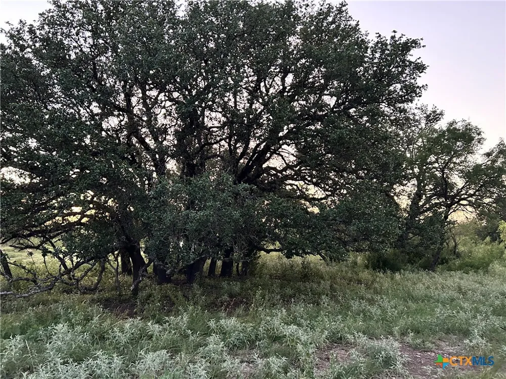587 Valley Rd. Eldorado, TX 76936