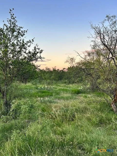 587 Valley Rd. Eldorado, TX 76936