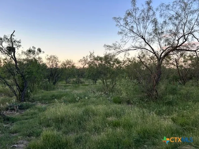 587 Valley Rd. Eldorado, TX 76936