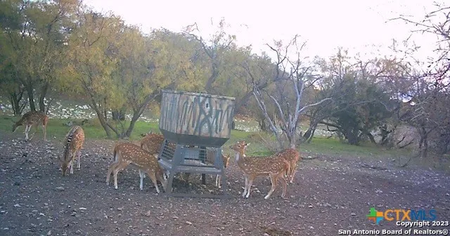 587 Valley Rd. Eldorado, TX 76936