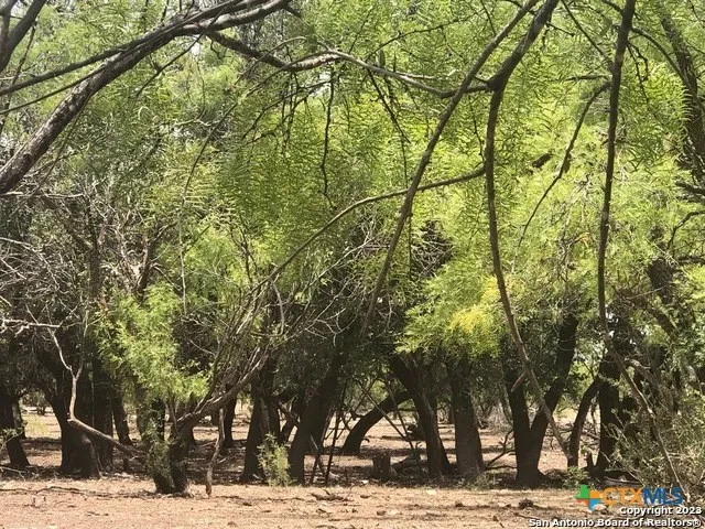 587 Valley Rd. Eldorado, TX 76936