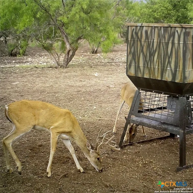 587 Valley Rd. Eldorado, TX 76936