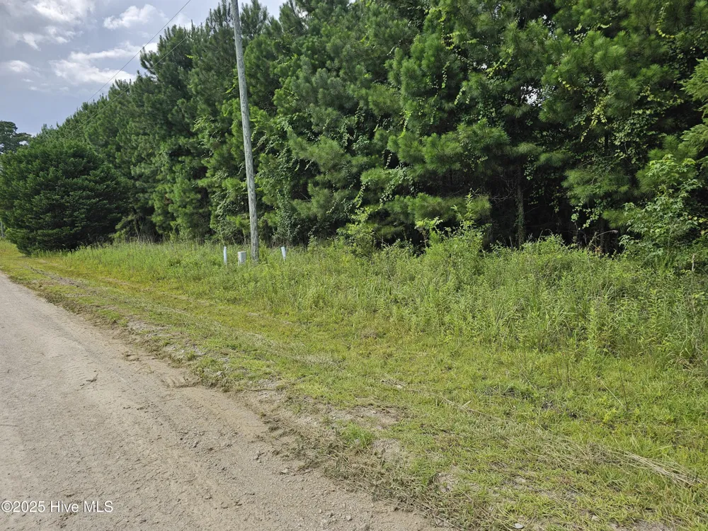 Lot 10 & 9 Powell Lane Loris, SC 29569
