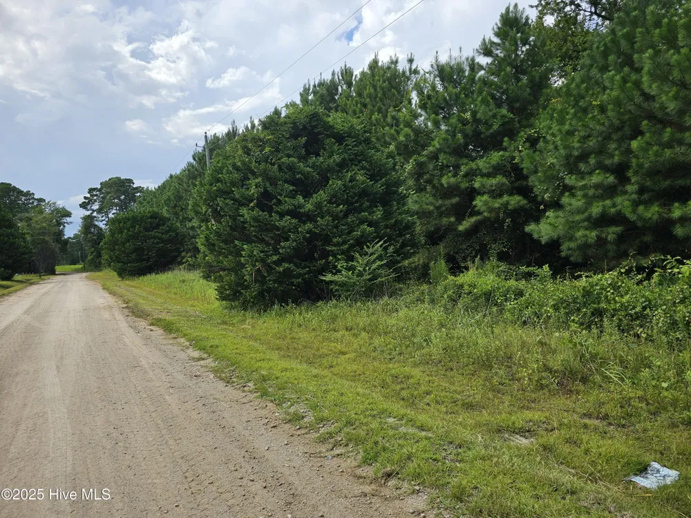 Lot 10 & 9 Powell Lane Loris, SC 29569