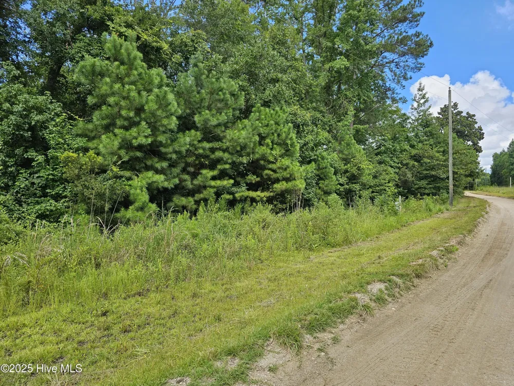 Lot 10 & 9 Powell Lane Loris, SC 29569