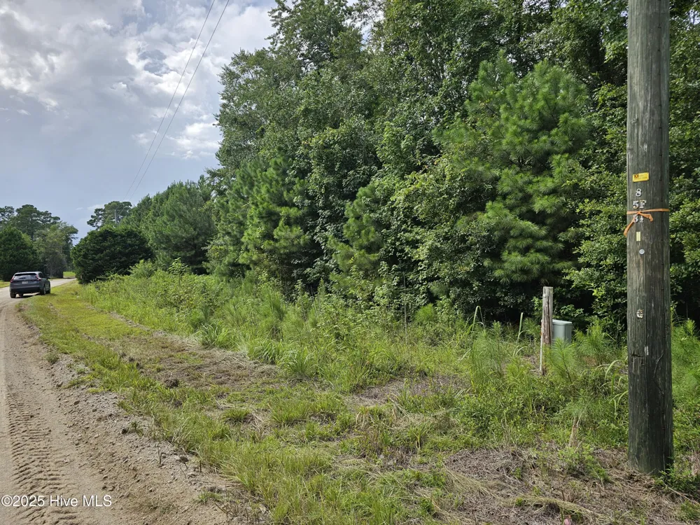 Lot 10 & 9 Powell Lane Loris, SC 29569
