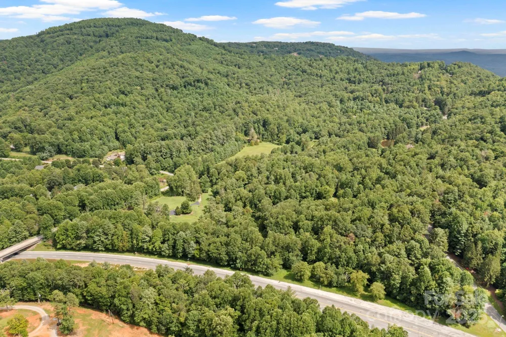 0 S Bobs Creek Road Zirconia, NC 28790