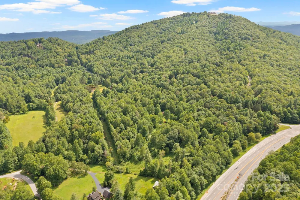 0 S Bobs Creek Road Zirconia, NC 28790