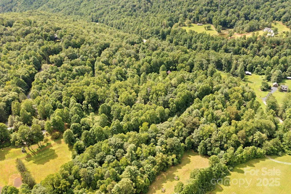 0 S Bobs Creek Road Zirconia, NC 28790