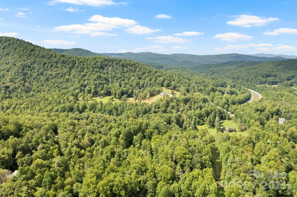 0 S Bobs Creek Road Zirconia, NC 28790